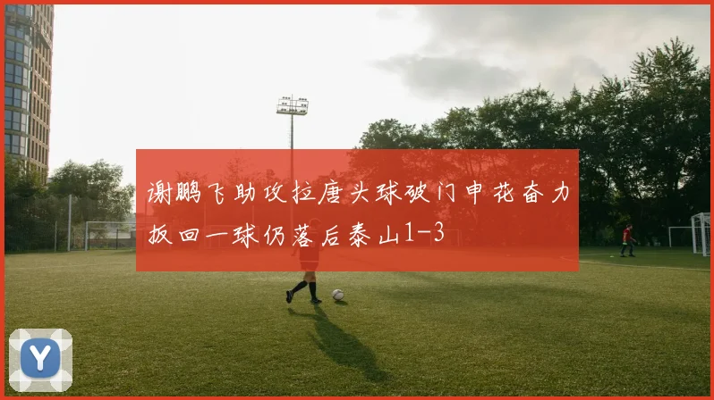 谢鹏飞助攻拉唐头球破门申花奋力扳回一球仍落后泰山1-3