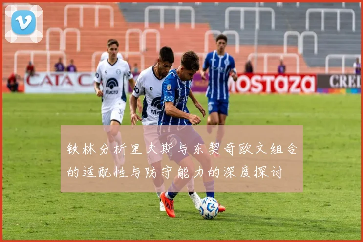 铁林分析里夫斯与东契奇欧文组合的适配性与防守能力的深度探讨