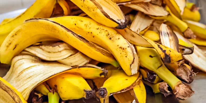 Korom Od Banane Iz Frižidera riješila je dugogodišnji zdravstveni problem